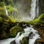 PexelsのAvery Nielsen-Webbによる写真